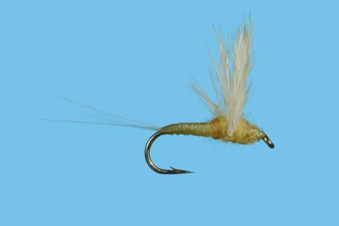 Solitude Comparadun Sulphur (D140) 6-Pack