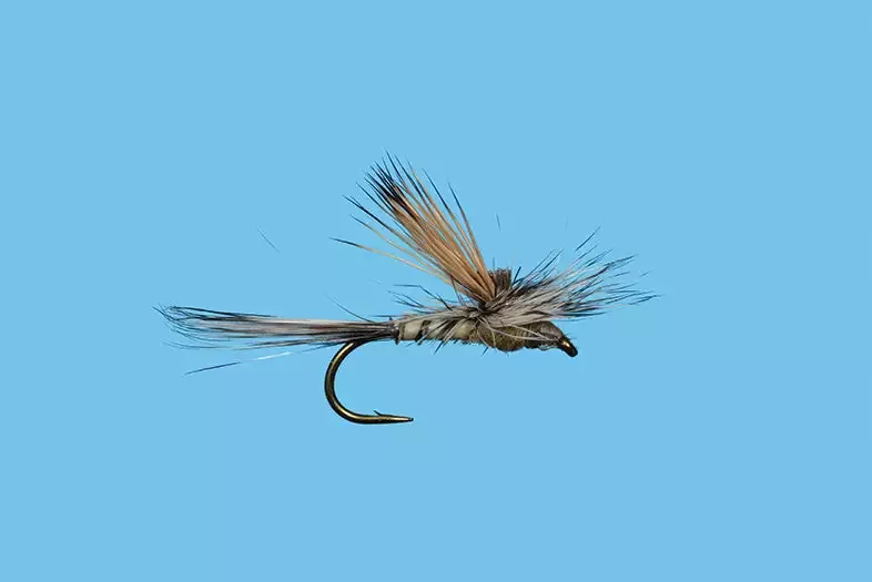 Solitude Tiltwing – Callibaetis (D387tn) 6-Pack Flies